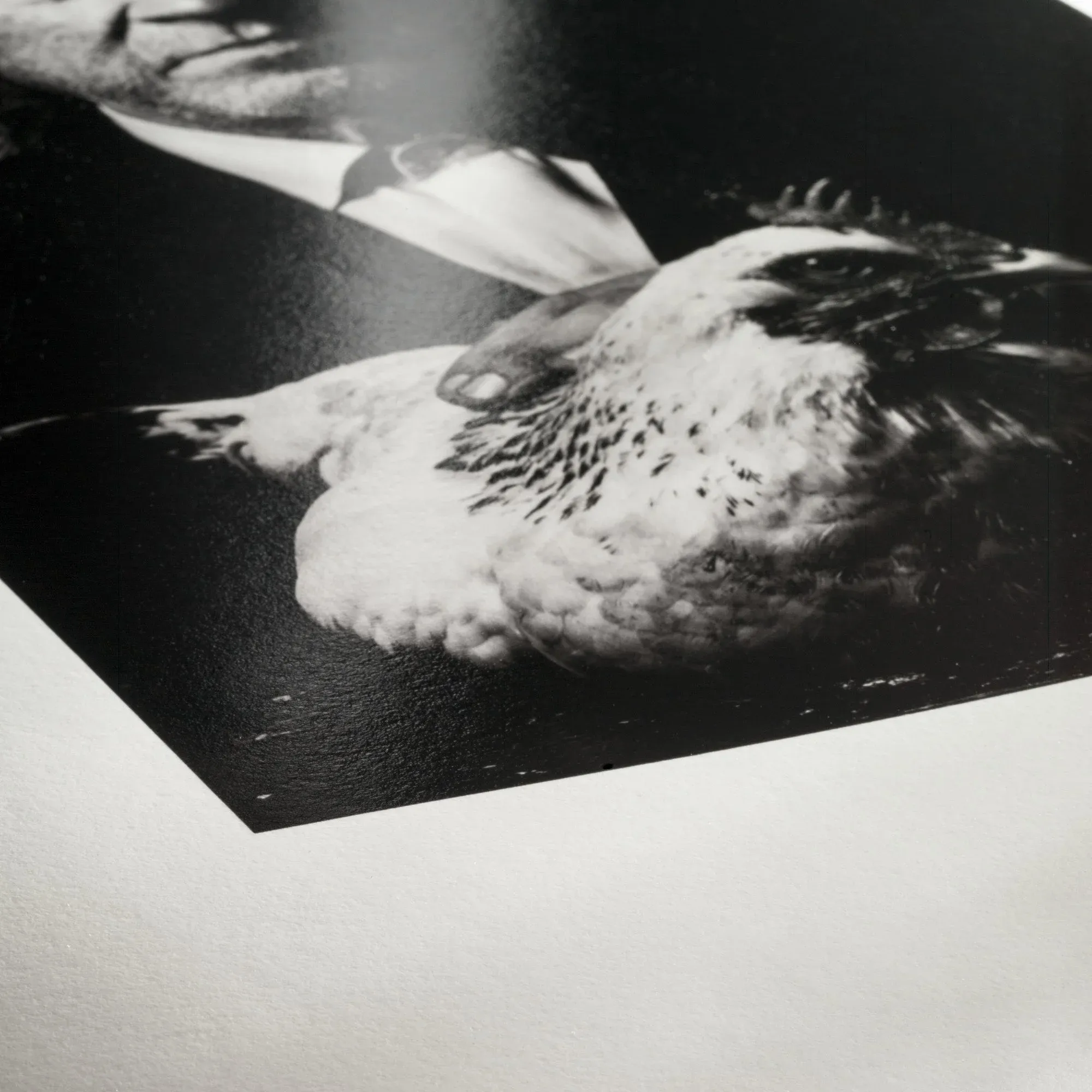 Hahnemühle Photo Rag® Baryta